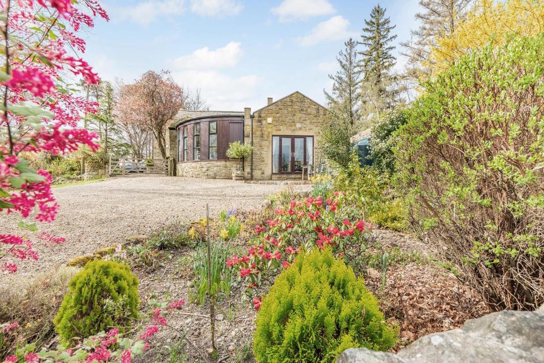 Photo of Others in Hexham