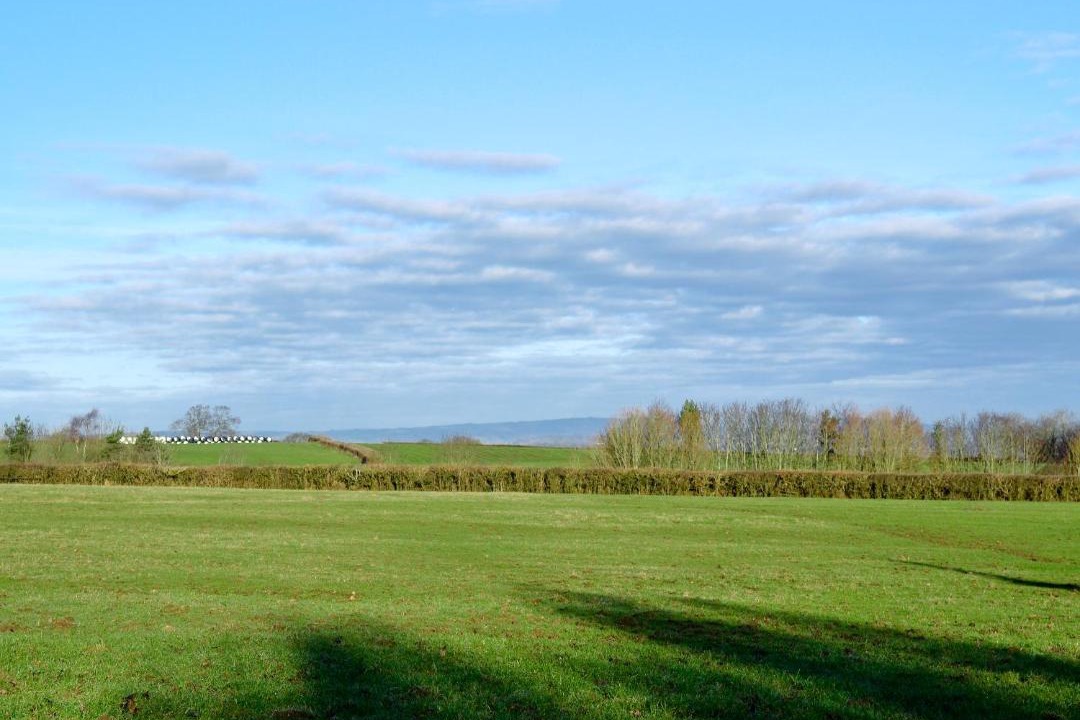 Photo of Others in Wellington