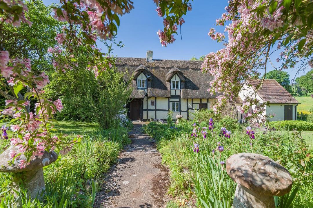 Photo of Others in Callow End