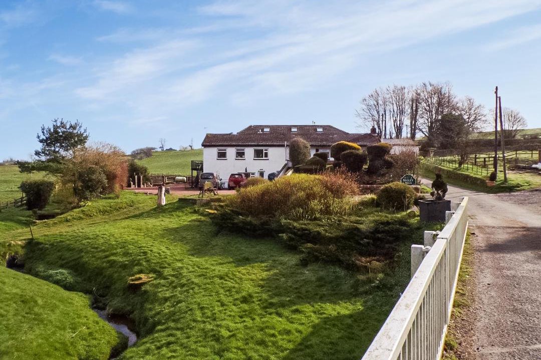 Photo of Others in Wing