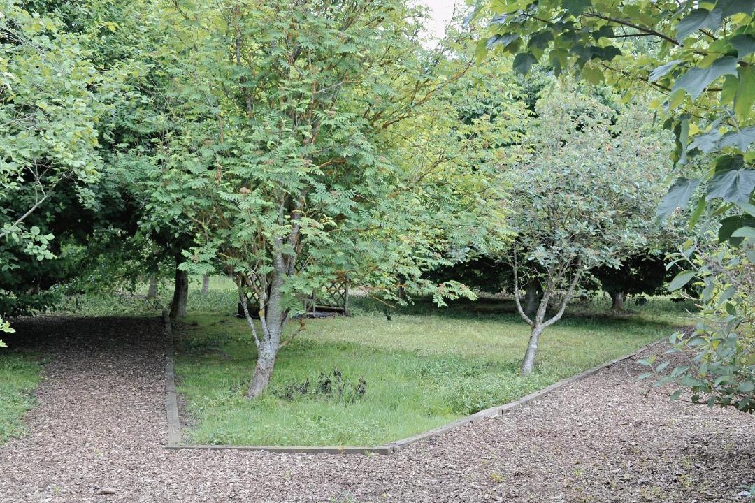 Photo of Outdoor in Ripley