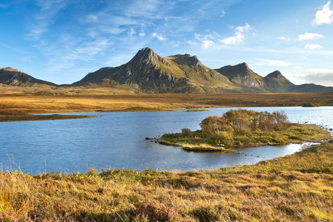 Photo of Others in Talmine