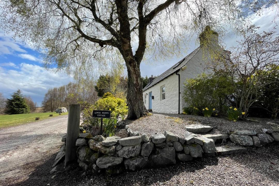 Photo of Others in Culrain