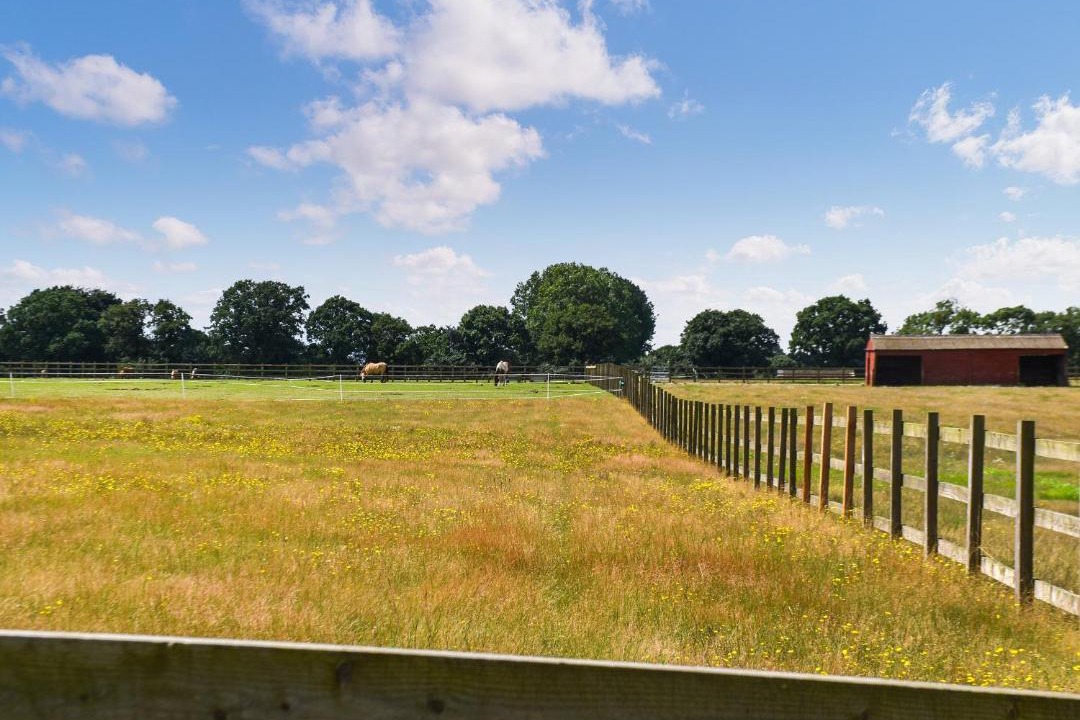 Photo of Others in Hopton