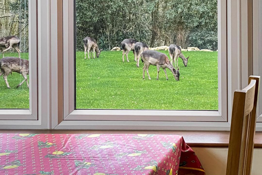 Photo of Others in Matlock