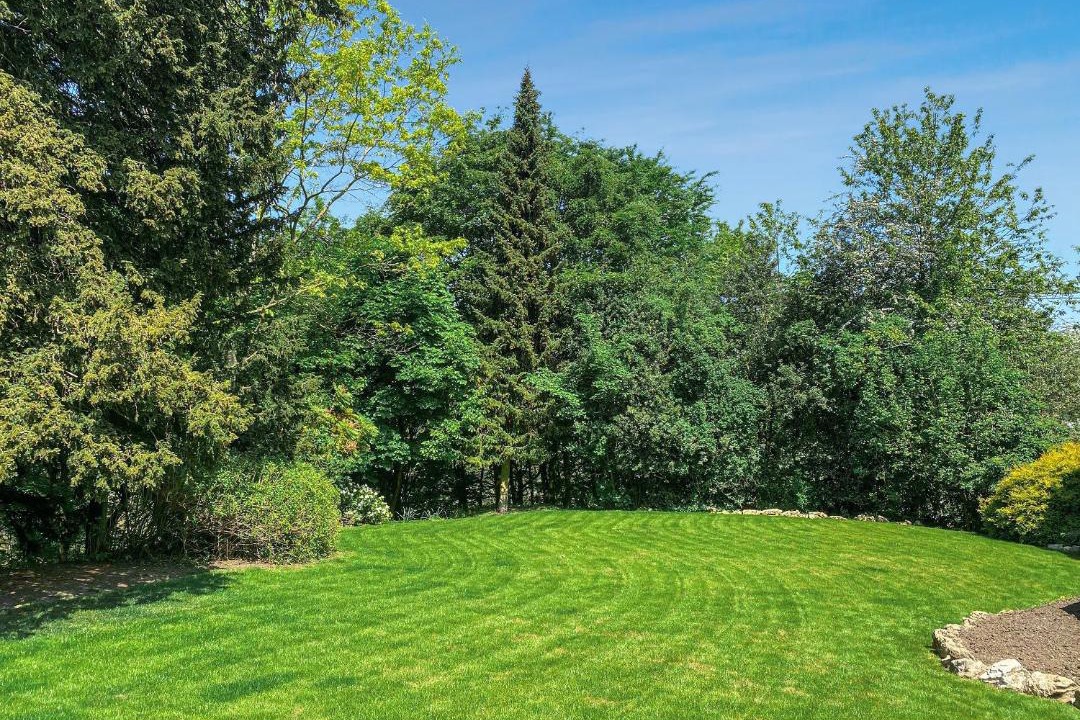 Photo of Others in Matlock