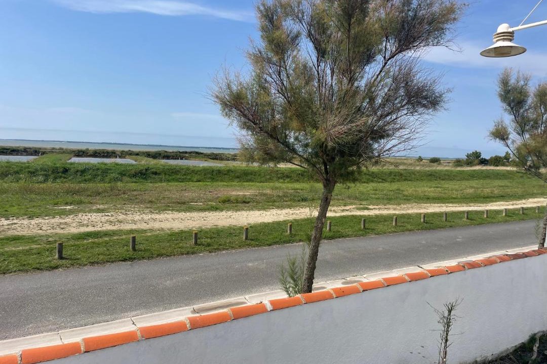 Photo of Others in Marennes