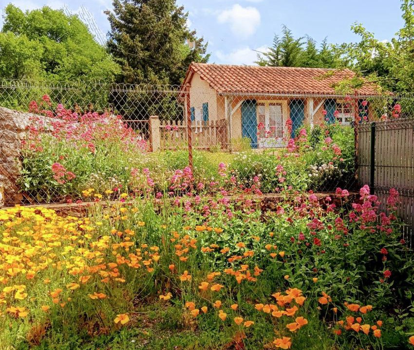 Photo of Others in Orgedeuil