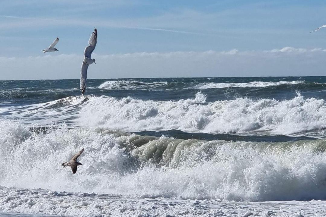 Photo of Others in Vrist Strand