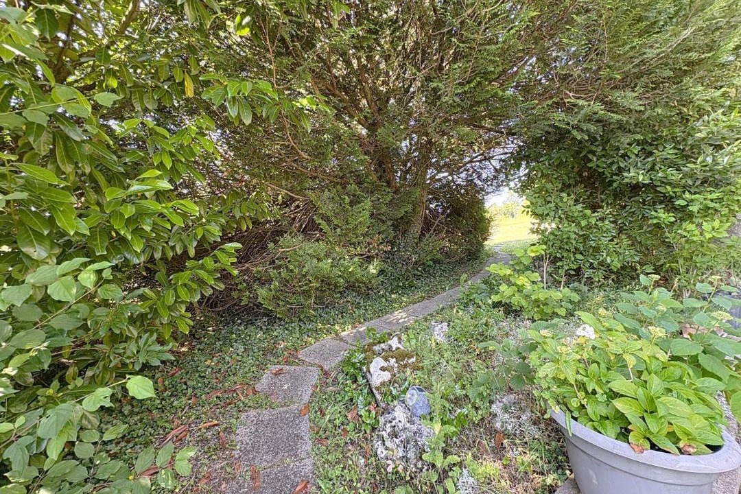 Photo of Others in Tanlay