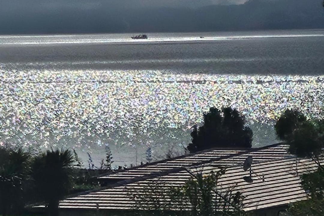 Photo of Others in Whakatiwai