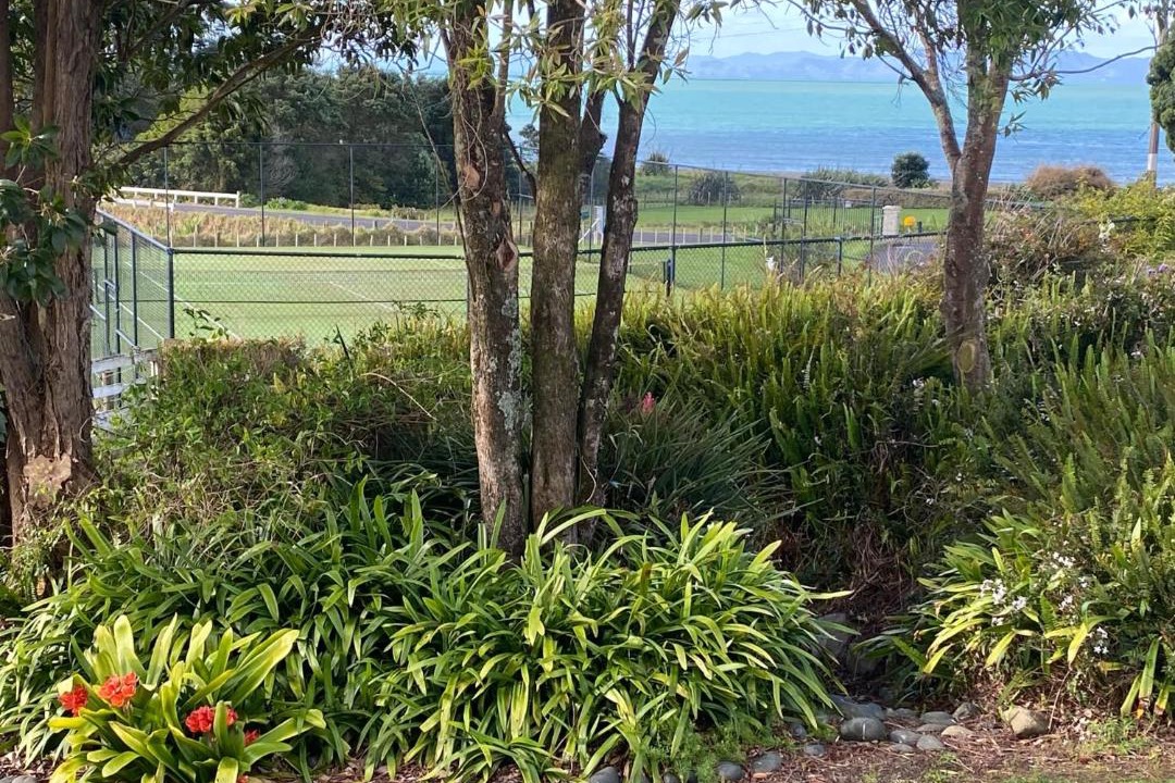 Photo of Others in Whakatiwai