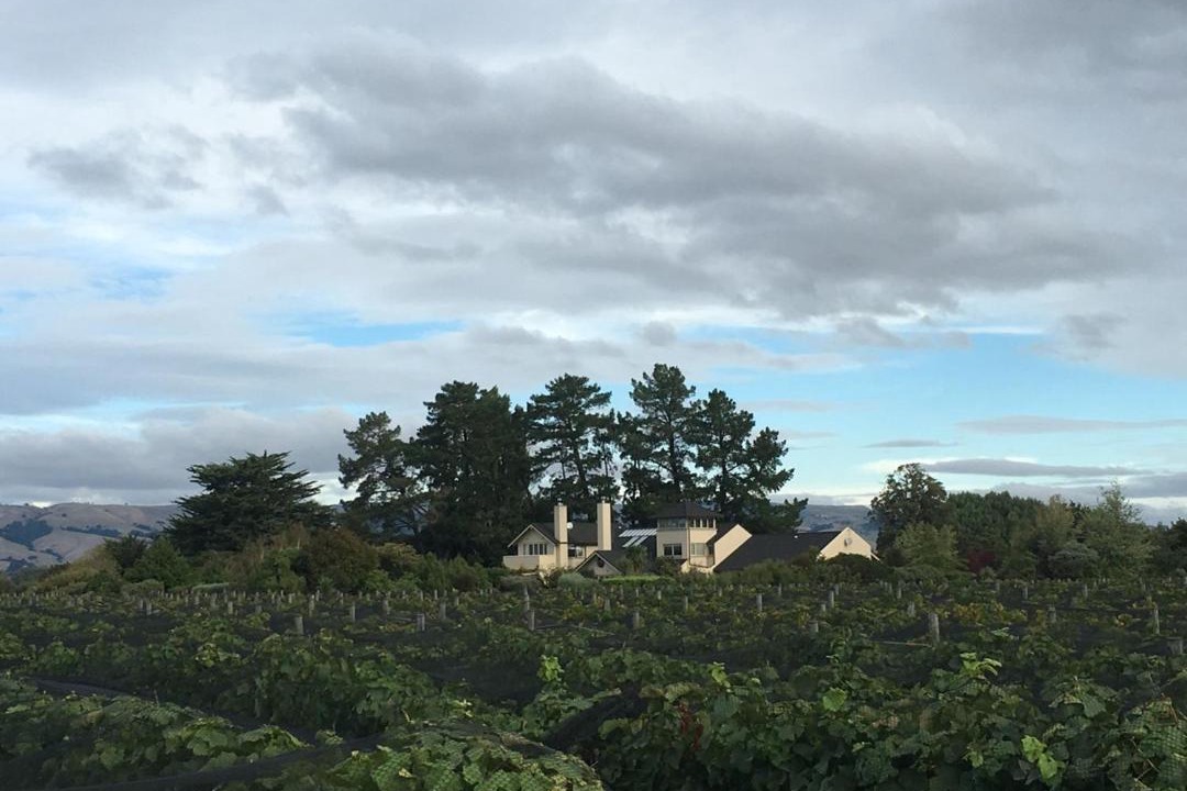 Photo of Others in Gladstone