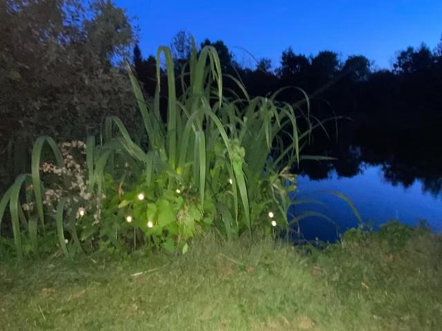 Photo of Others in Maintenon