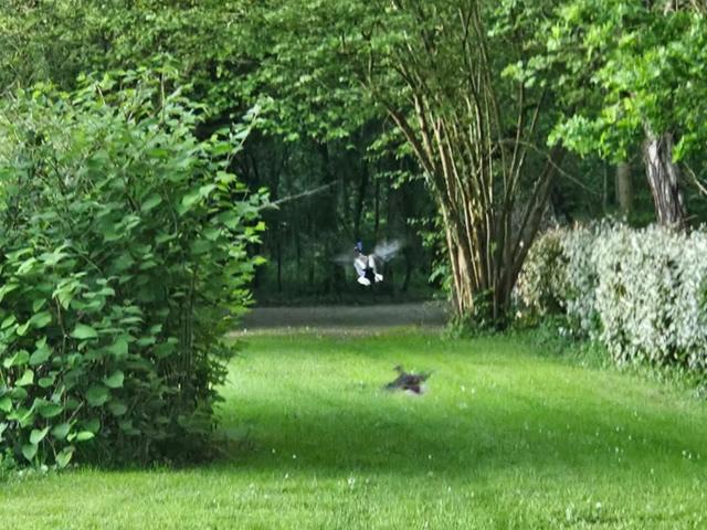 Photo of Others in Maintenon