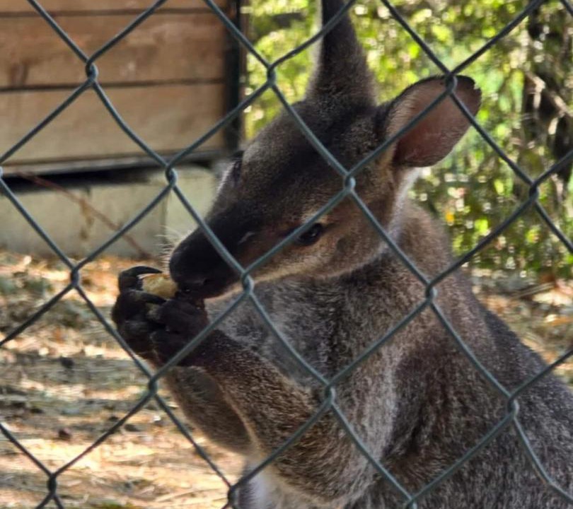 Photo of Others in Contes