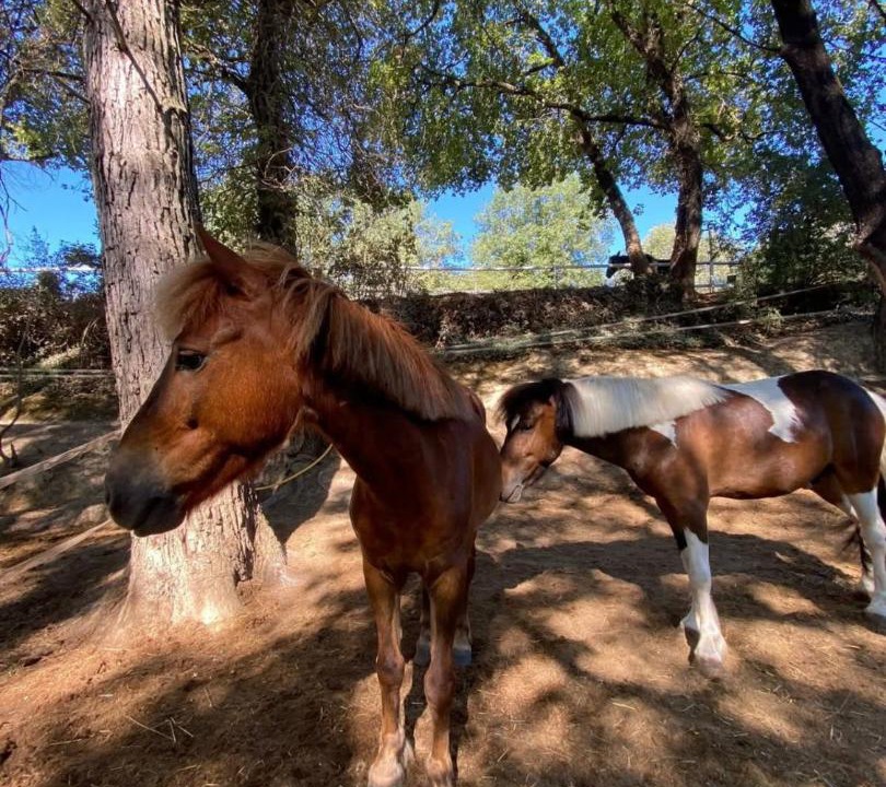 Photo of Others in Contes