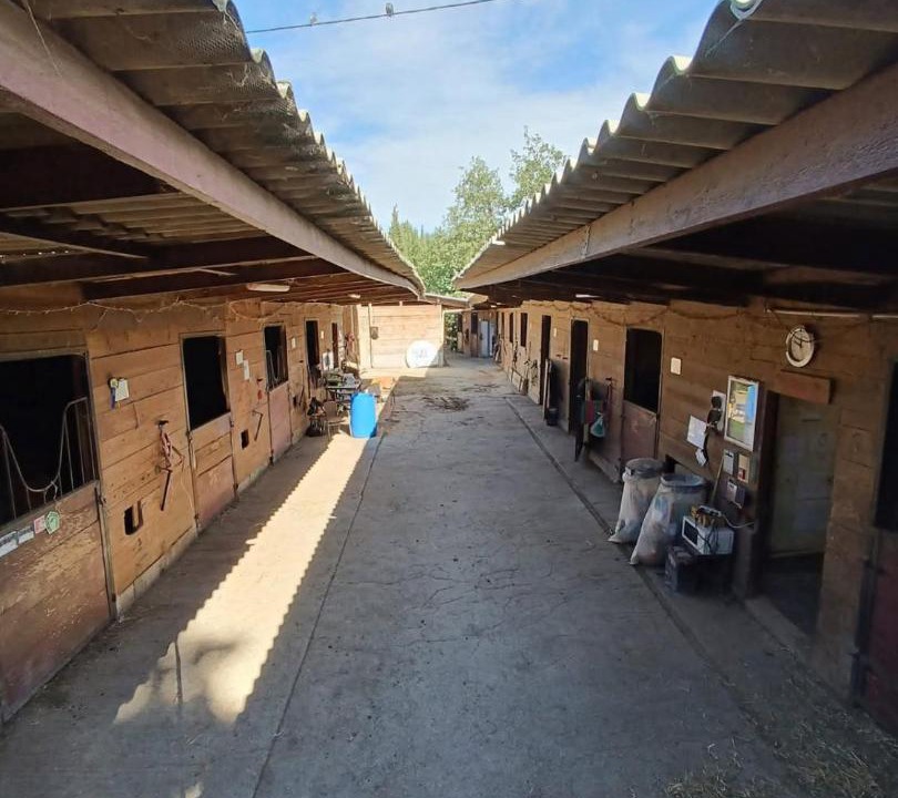 Photo of Others in Contes