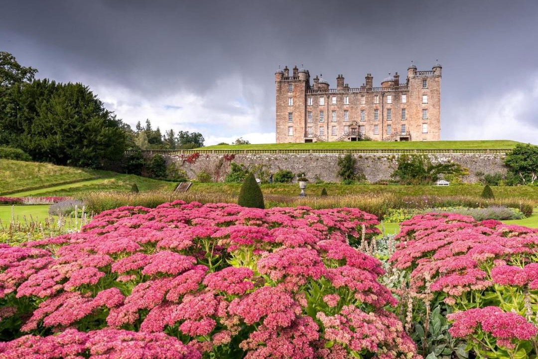 Photo of Others in Newbridge