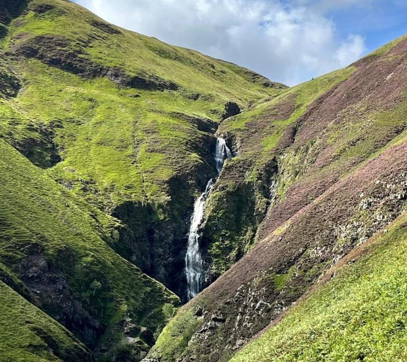 Photo of Others in Newbridge