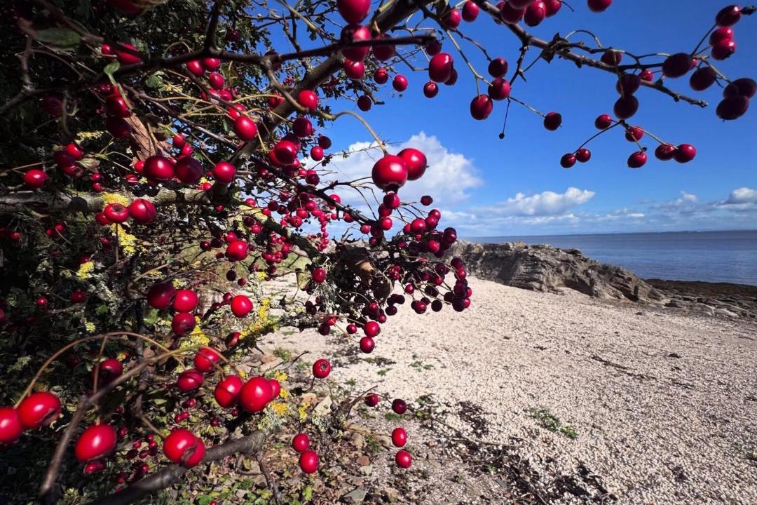 Photo of Others in Newbridge