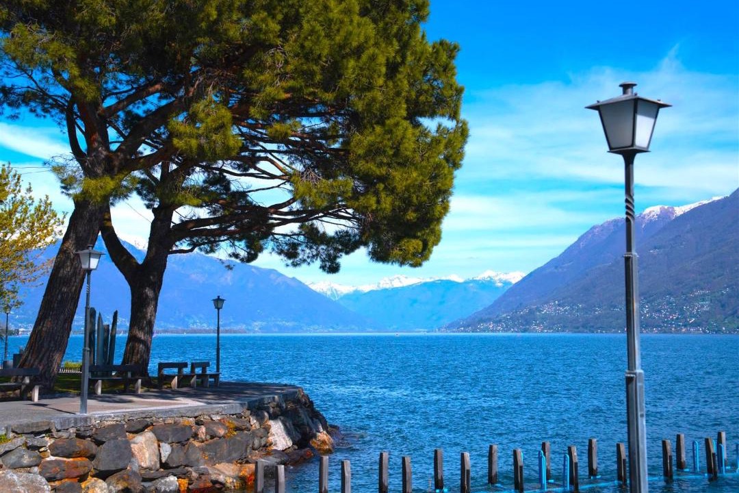 Photo of Others in Brissago
