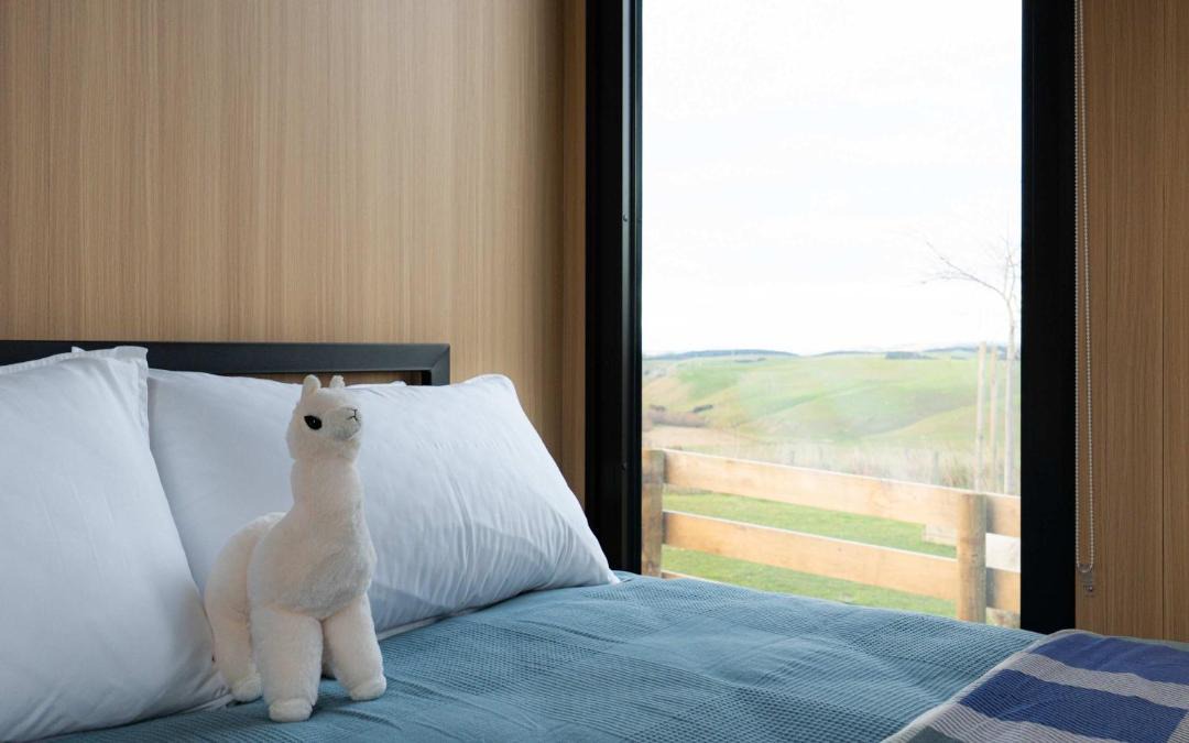 Photo of Others in Surat Bay