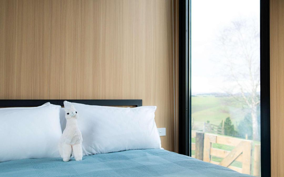 Photo of Others in Surat Bay