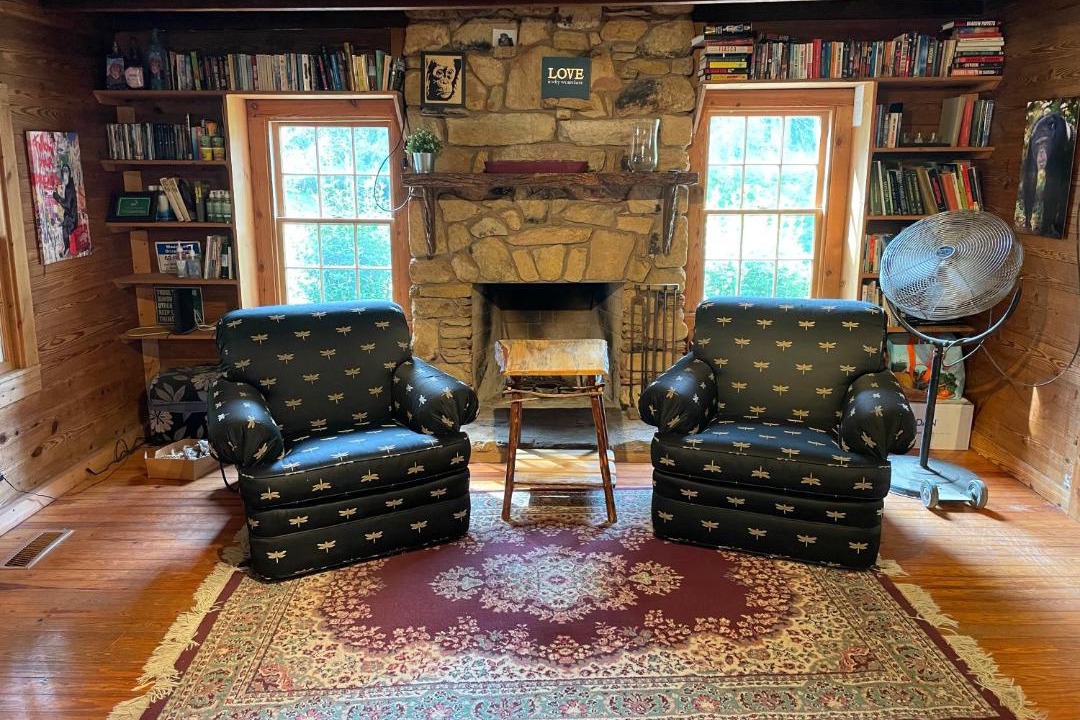 Photo of Livingroom in Mineral Bluff