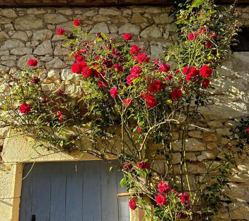 Photo of Others in Saint Sozy