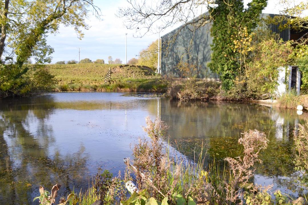 Photo of Others in Foxley