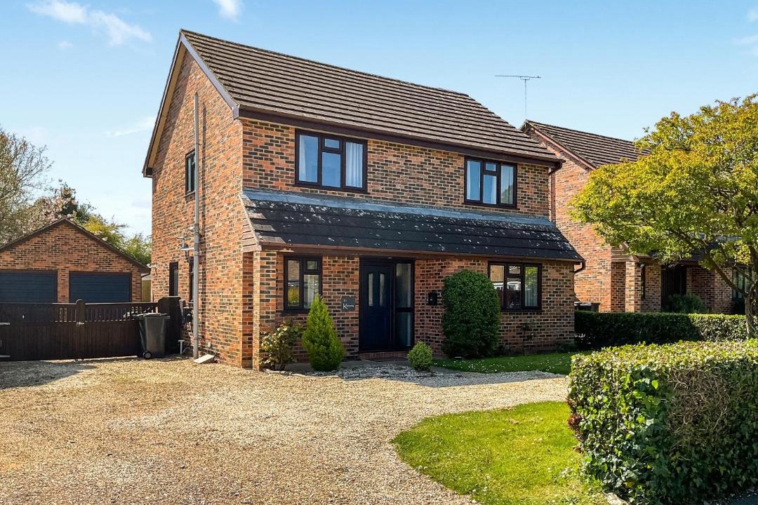 Photo of Others in Bere Regis