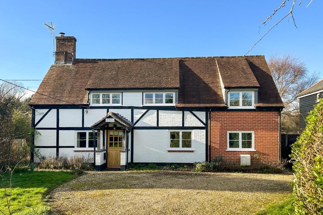 Photo of Others in Cadnam