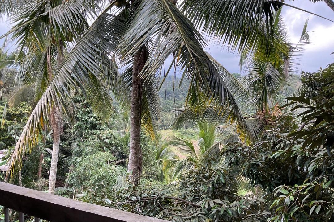 Photo of Others in Penebel