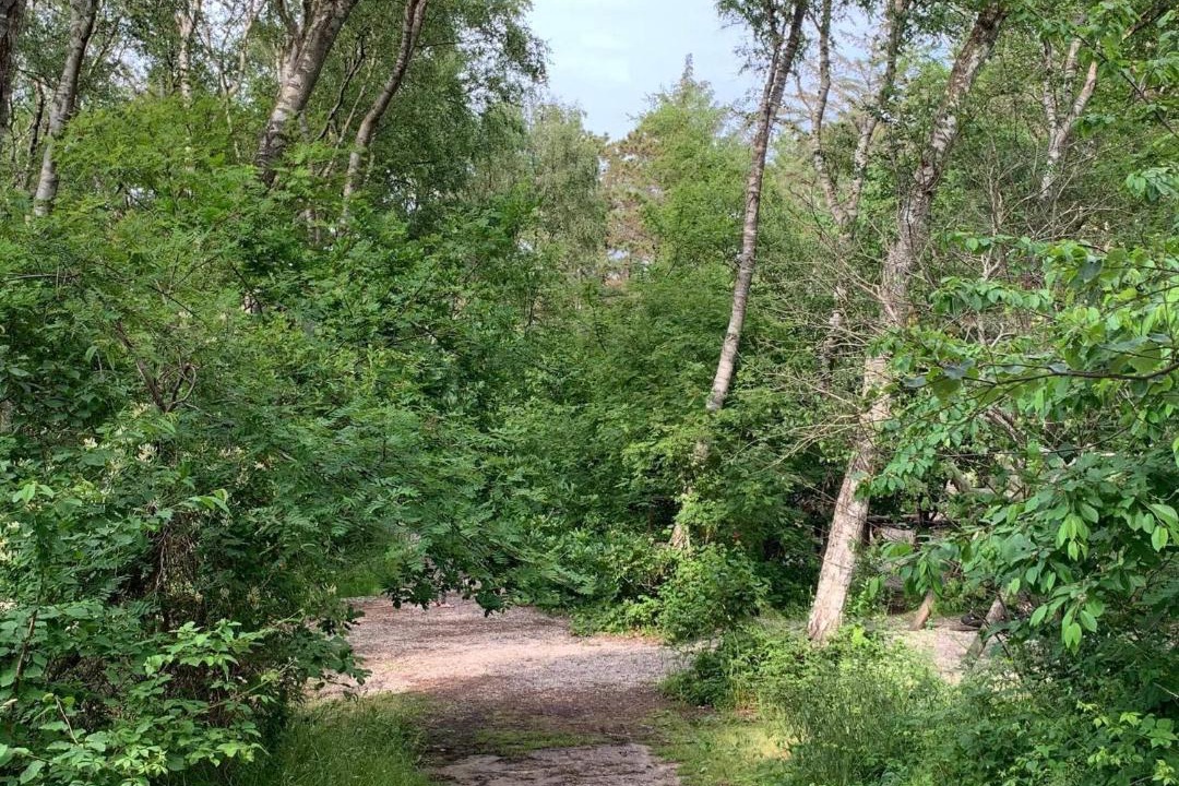 Photo of Others in Liseleje