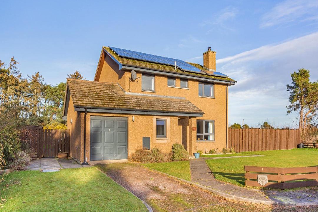 Photo of Others in Balloch