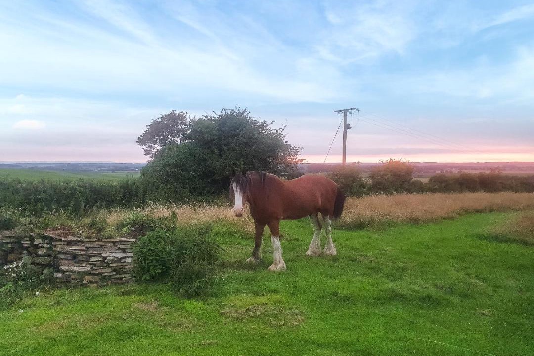 Photo of Others in Aughton