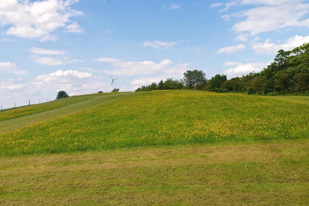 Photo of Others in Aughton