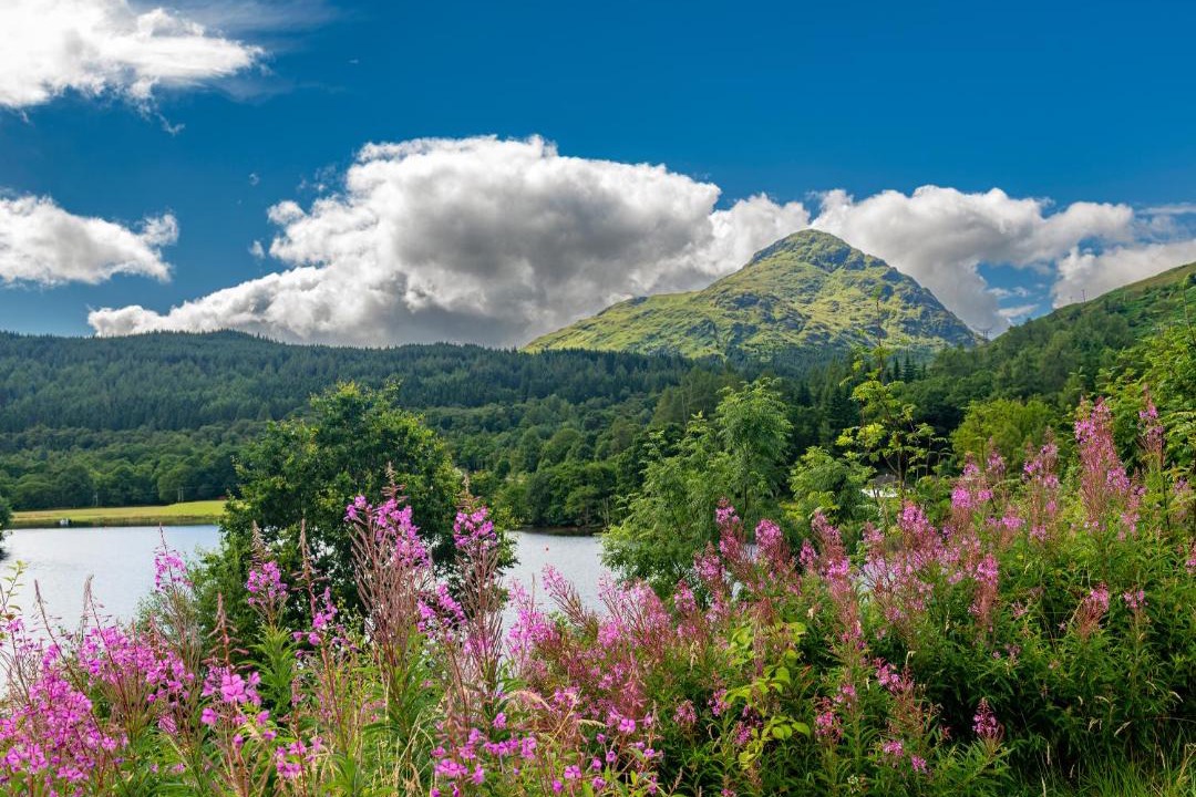 Photo of Others in Helensburgh