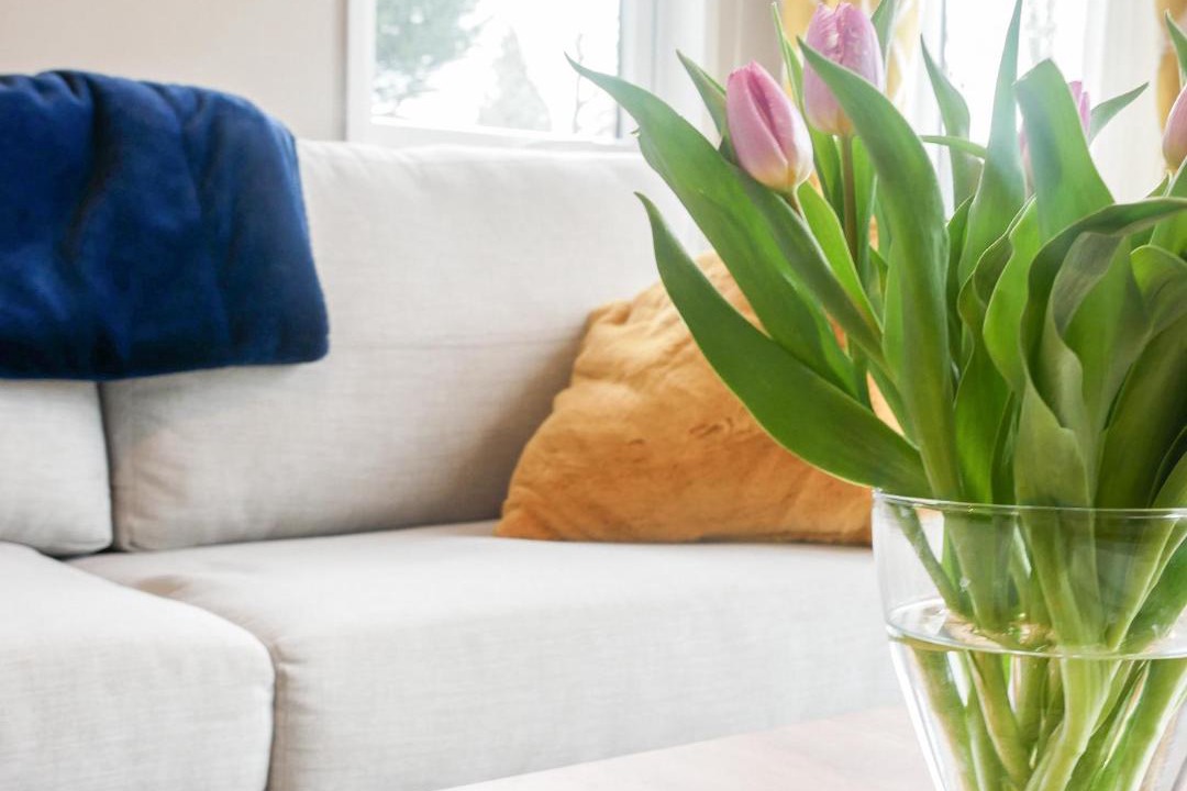 Photo of Others in Hyssington