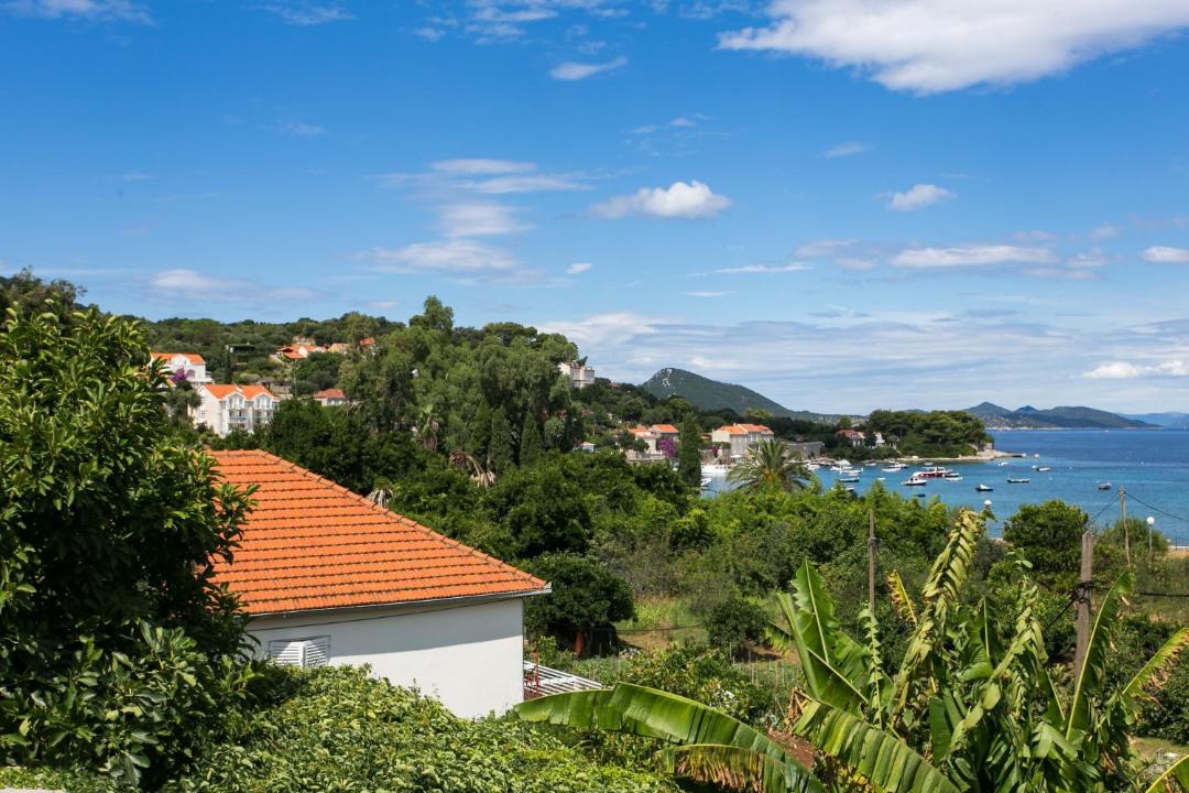 Photo of Others in Kolocep Island