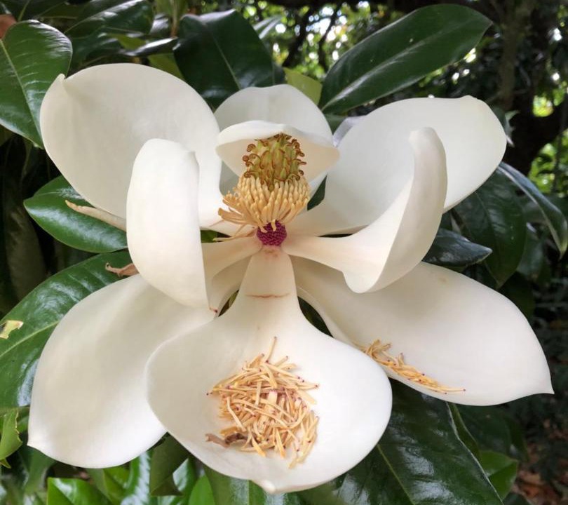 Photo of Outdoor in Sainte-Eulalie