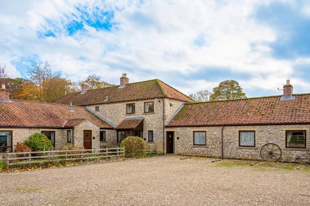 Photo of Others in Pickering