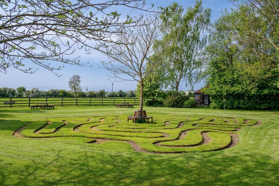 Photo of Others in Pickering