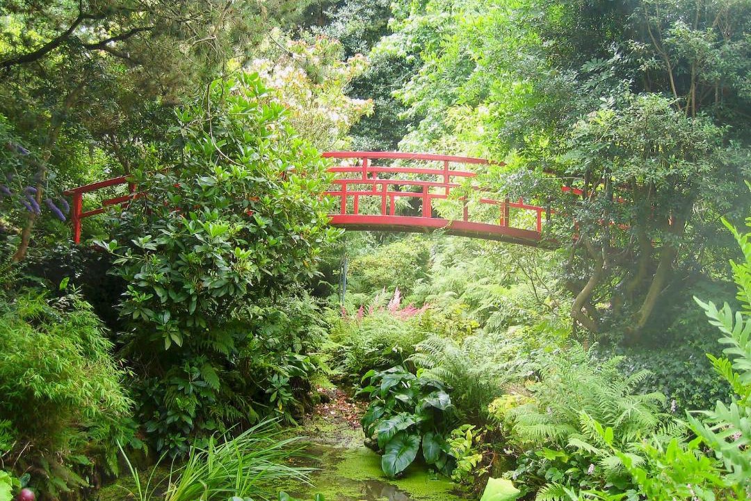 Photo of Others in Cowbeech