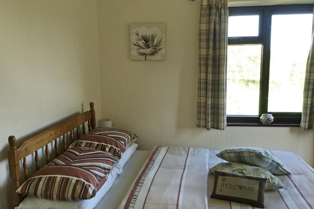 Photo of Others in Heligan