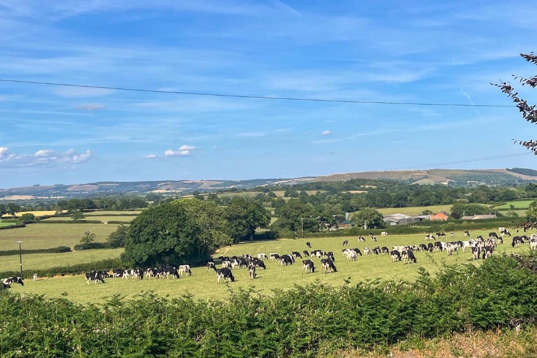 Photo of Others in Pulham