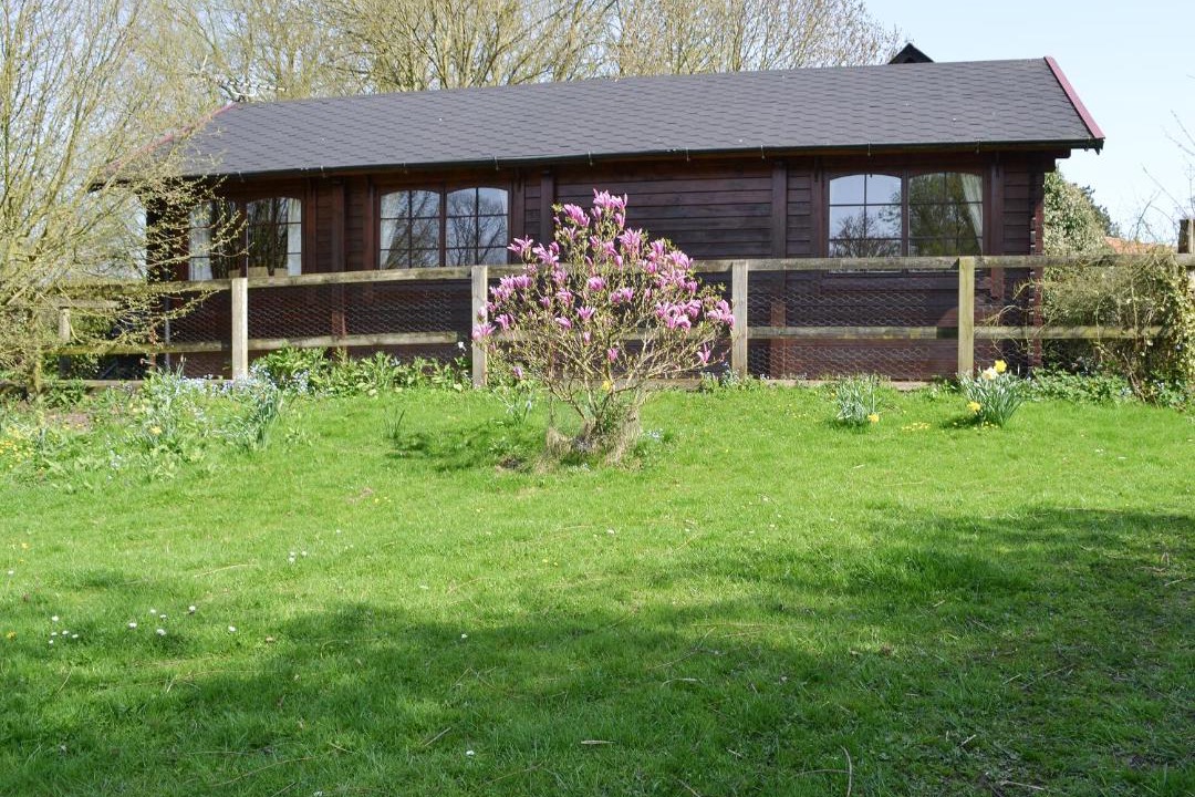 Photo of Others in East Dereham