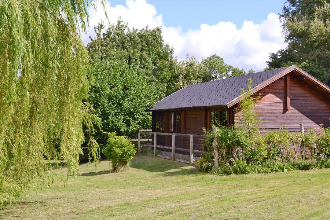 Photo of Others in East Dereham