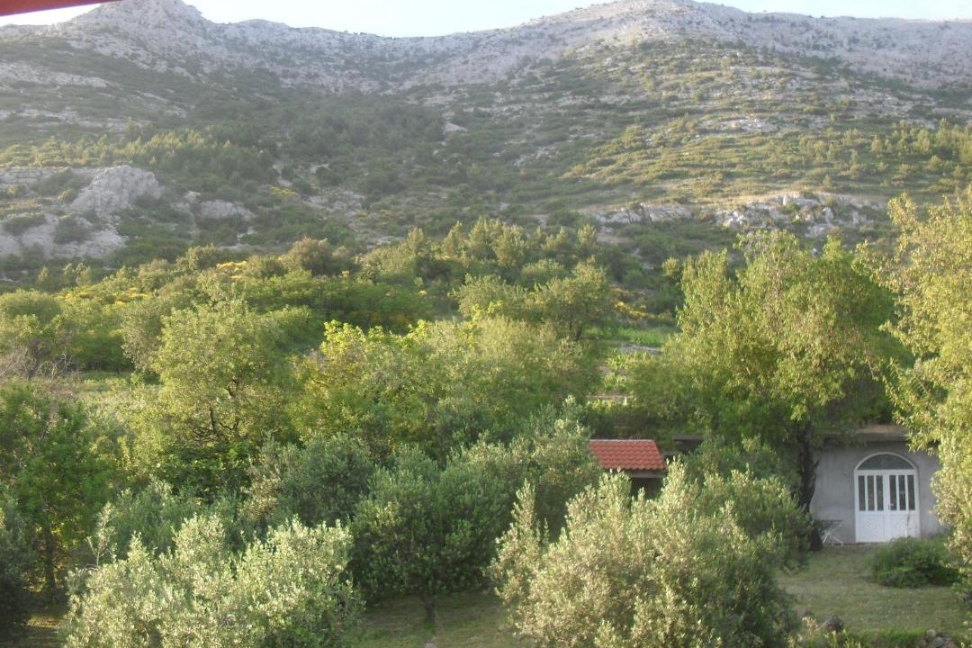 Photo of Others in Kuciste